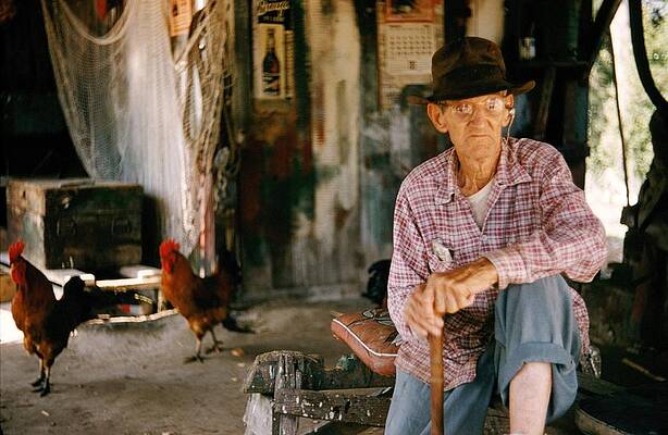 Wall Art featuring the photograph Life On The Bayou #1 by Michael Ochs Archives