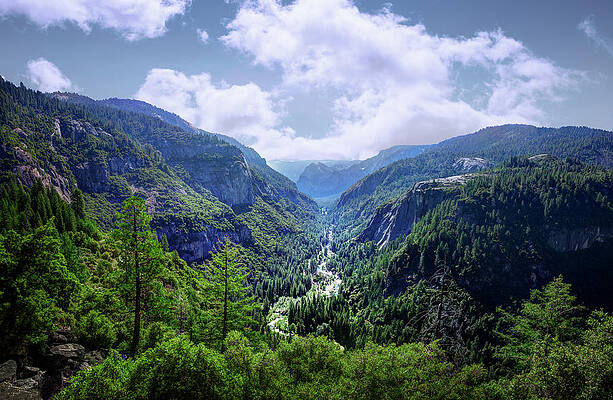 Majestic Mountain Valley View Wall Art