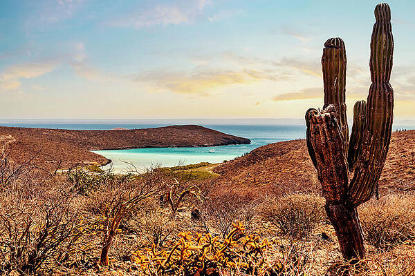 Nature Wall Art featuring the digital art Mexico, La Paz, Baja California Ensenada Del Shiro #1 by Claudia Uripos