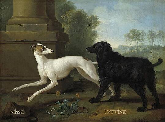 Dog Painting - Misse And Luttine by Jean-baptiste Oudry