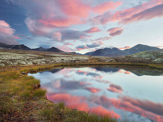 Small Digital Art - Norway, Oppland, Small Lake In Rondane National Park, Scandinavia #1 by Rainer Mirau