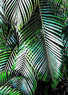 Paradise Wall Art featuring the digital art Paradise Palms #1 by Laura Diez