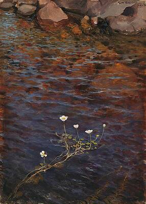 Eero Jarnefelt Painting - Pond Water Crowfoot by Eero Jarnefelt