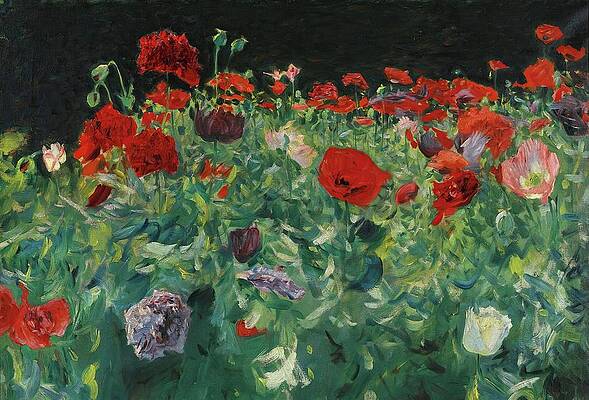 Vibrant Field of Poppies Wall Art