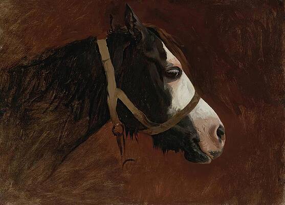 Jean Leon Gerome Painting - Profile Of A Horse by Jean-leon Gerome