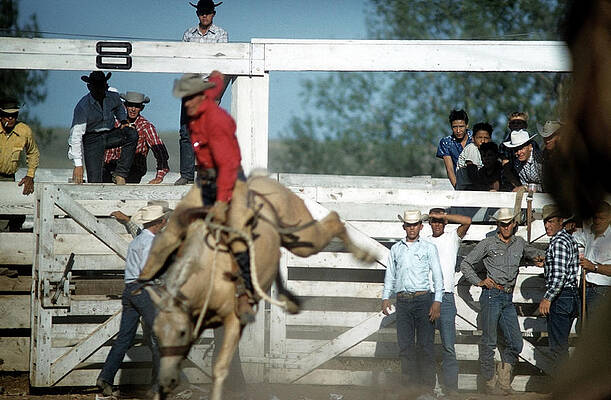 Wall Art featuring the photograph Rapid City Rodeo #1 by Michael Ochs Archives