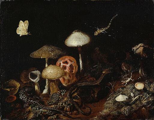 Reptile Painting - Reptiles, Mushrooms And Butterflies by Otto Marseus Van Schrieck