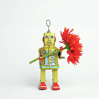 Retro Robot Holding a Red Flower Wall Art