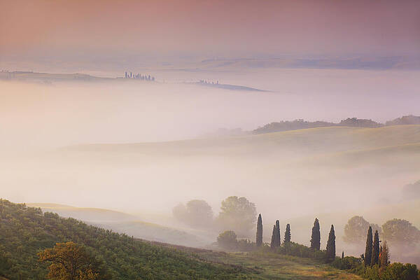 Foggy Wall Art featuring the digital art San Quirico D'orcia, Foggy Sunrise #1 by Maurizio Rellini