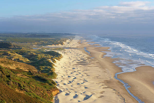 Sand Dunes At The Pacific-coast Near Florence , Oregon , U.s.a. , America #1 Print