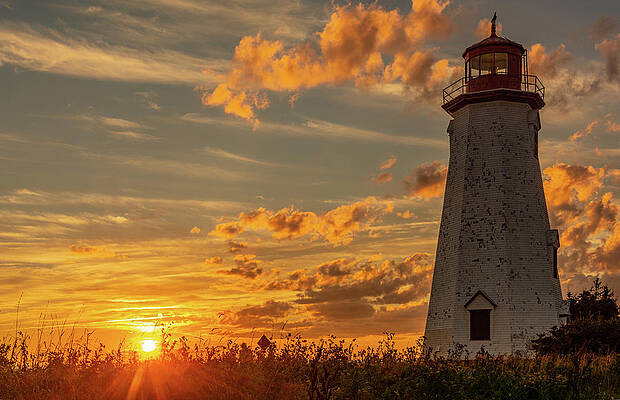 Wall Art featuring the photograph Seacow Head Sunburst #2 by Marcy Wielfaert