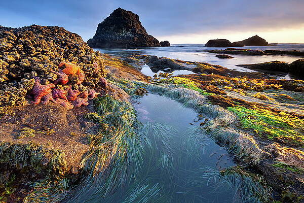 Sunset Digital Art - Seal Rock State Recreation Site, Or #1 by Roland Gerth