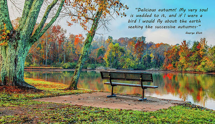 Vibrant Wall Art featuring the photograph Season Of My Soul, Version 2 by Marcy Wielfaert