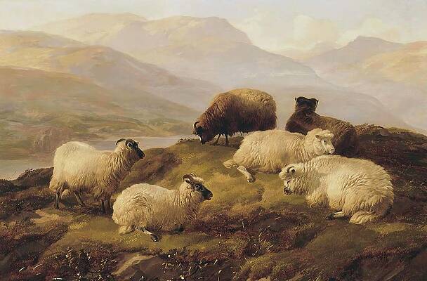 Flock Painting - Sheep Resting In A Highland Landscape by Thomas Sidney Cooper