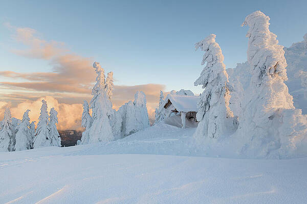 Small Digital Art - Small Chapel And Spruces Covered In #1 by Cornelia Dorr