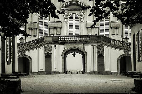 Tree Photograph - Solitude #1 by Robert Grac