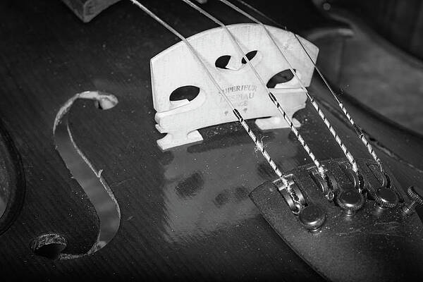 Musician Wall Art featuring the photograph Strings Series 33 by David Morefield