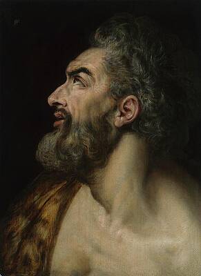 Gaze Painting - Study Head Of A Bearded Man by Frans Floris