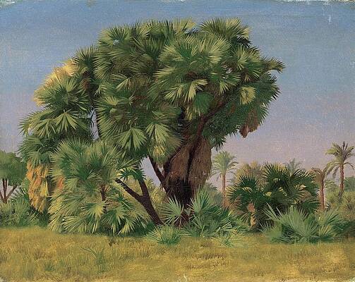 Jean Leon Gerome Painting - Study Of Palm Trees by Jean-Leon Gerome