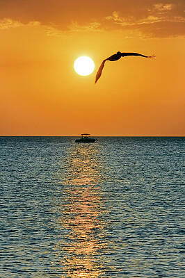 Florida Wall Art featuring the digital art Sunset, Naples, Florida #1 by Gabriel Jaime Jimenez