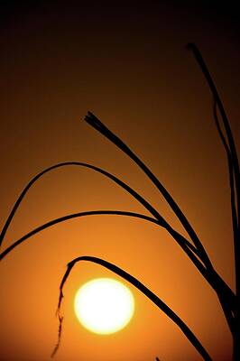 Moody Wall Art featuring the photograph Sunset On Caribbean #5 by Robert Grac