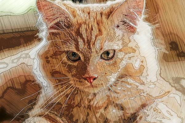 Happy Digital Art - Super Duper Artistic Cat by Don Northup