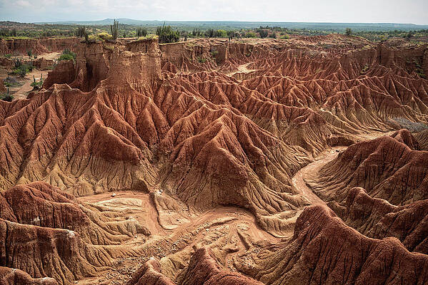 Surreal Landscape At Tatacoa Desert Desierto De La Tatacoa, Township Villavieja Nearby Neiva, Departmento Huila, Colombia, Southamerica #1 Print