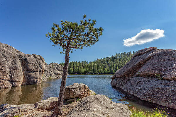 Sylvan Lake by Chris Spencer