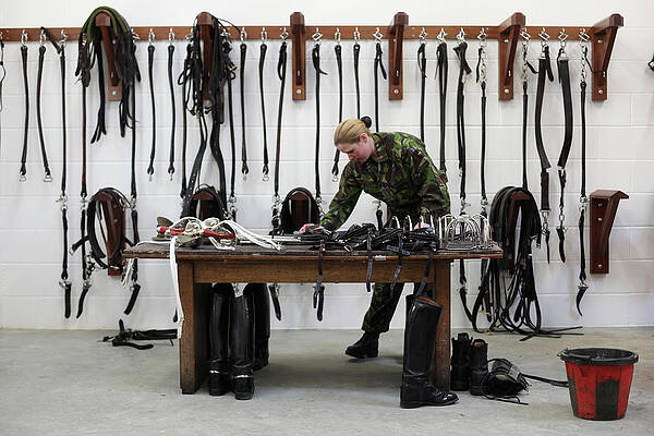 Wall Art featuring the photograph The Kings Troop Royal Horse Artillery #1 by Dan Kitwood