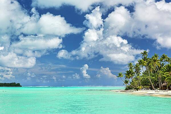 Paradise Wall Art featuring the digital art Tropical Beach In Bora Bora #1 by Reinhard Schmid