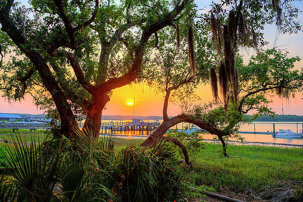 North America Wall Art featuring the digital art Usa, South Carolina, Hilton Head #1 by Werner Bertsch
