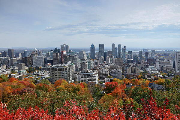 View Of Montreal From Mont Royal, Quebec, Canada #1 Print