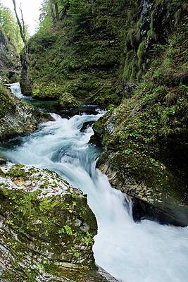 Landmark Photograph - Vintgar Gorge #1 by Robert Grac