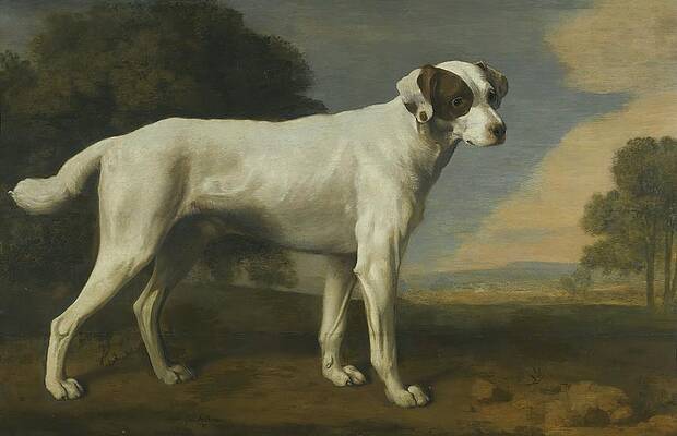 Viscount Gormanston's White Dog Painting