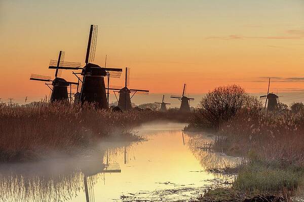 Beautiful Wall Art featuring the digital art Windmills, Kinderdijk, Netherlands #1 by Maurizio Rellini
