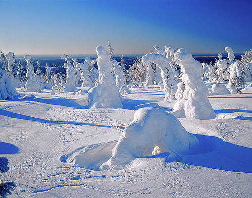 Atmospheric Wall Art featuring the digital art Winter Landscape, Lapland, Finland #1 by Gunter Grafenhain