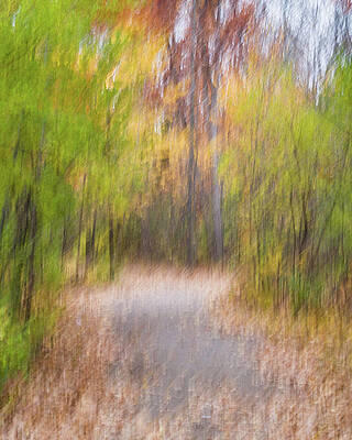 Abstract Wall Art featuring the photograph Fall Colors - Abstract Nature #11 by Shankar Adiseshan