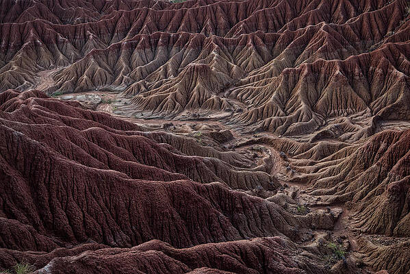 Surreal Landscape At Tatacoa Desert Desierto De La Tatacoa, Township Villavieja Nearby Neiva, Departmento Huila, Colombia, Southamerica #10 Print