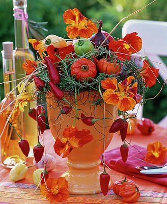 Viva Mexico #10 Print