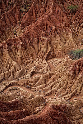 Surreal Landscape At Tatacoa Desert Desierto De La Tatacoa, Township Villavieja Nearby Neiva, Departmento Huila, Colombia, Southamerica #11 Print