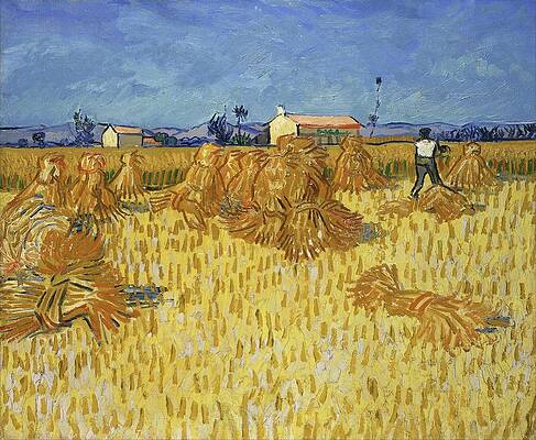 Corn Harvest in Provence Painting