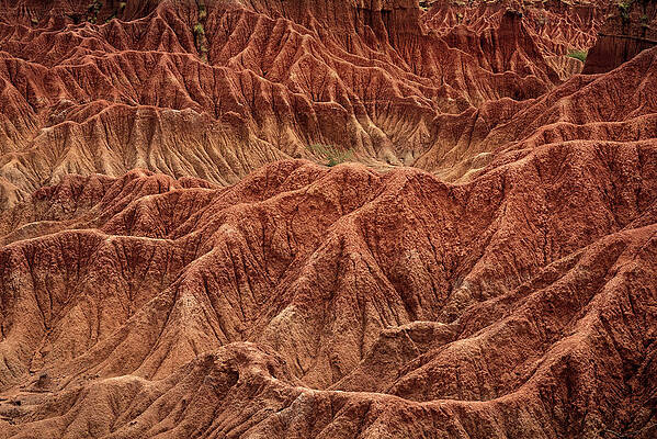 Surreal Landscape At Tatacoa Desert Desierto De La Tatacoa, Township Villavieja Nearby Neiva, Departmento Huila, Colombia, Southamerica #12 Print