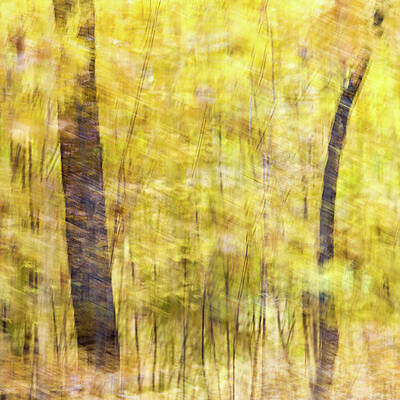 Abstract Wall Art featuring the photograph Fall Colors - Abstract Nature #14 by Shankar Adiseshan