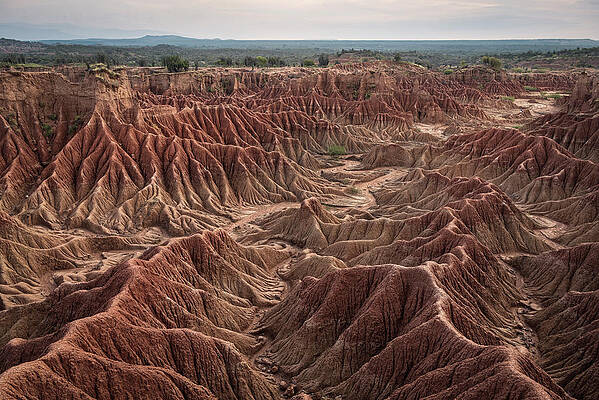 Surreal Landscape At Tatacoa Desert Desierto De La Tatacoa, Township Villavieja Nearby Neiva, Departmento Huila, Colombia, Southamerica #14 Print