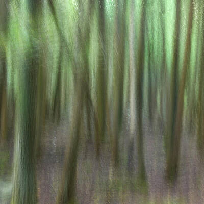 Abstract Wall Art featuring the photograph Fall Colors - Abstract Nature #16 by Shankar Adiseshan