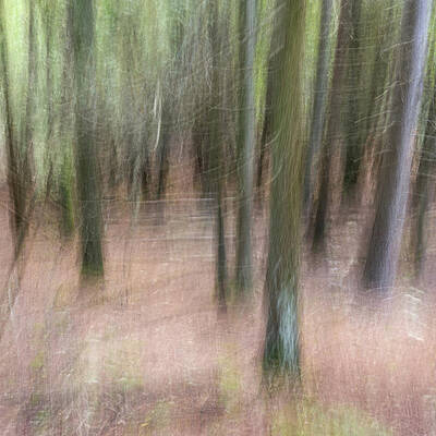 Abstract Wall Art featuring the photograph Fall Colors - Abstract Nature #17 by Shankar Adiseshan