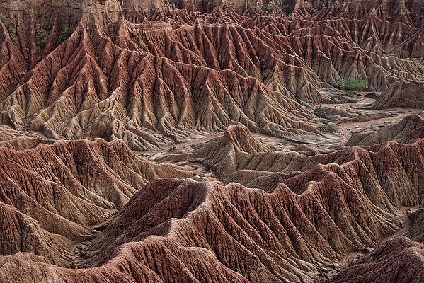 Surreal Landscape At Tatacoa Desert Desierto De La Tatacoa, Township Villavieja Nearby Neiva, Departmento Huila, Colombia, Southamerica #17 Print