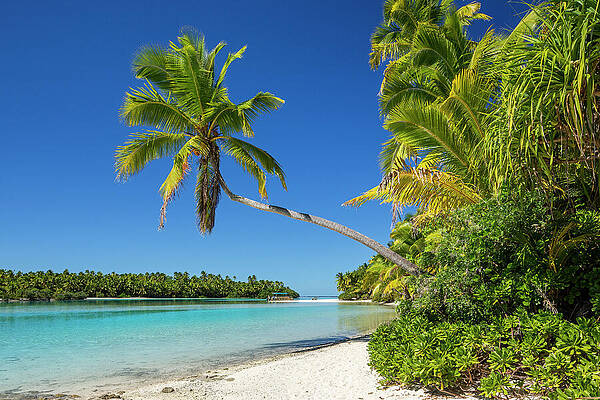 Paradise Wall Art featuring the digital art Cook Islands, Aitutaki, South Seas #19 by Reinhard Schmid