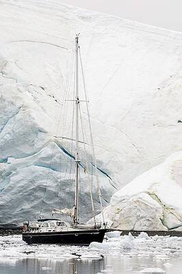 Paradise Wall Art featuring the digital art Antarctic Peninsula, Paradise Bay #2 by Jacana Stock