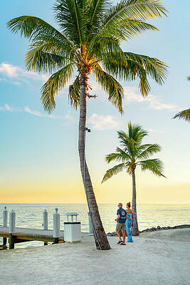 Wall Art featuring the digital art Beach & Pier, Islamorada, Fl #2 by Laura Zeid
